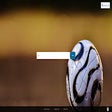 Programikonen: Fotooos Internet Search