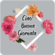 プログラムのアイコン：Buongiorno Buona Sera e B…