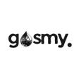 프로그램 아이콘: gasmy.