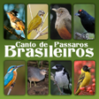 ไอคอนของโปรแกรม: Canto de Passaros Brasile…