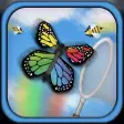 Icono de programa: Butterflyers