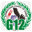 Programikonen: G12 ECZ Past Papers