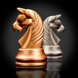 プログラムのアイコン：Chess World Master