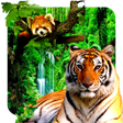 程序图标：3D animals parallax live …
