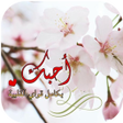 程序图标：عبارات حب