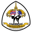 Programikonen: TBA-SA Muay Thai