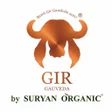 Programikonen: GIR Gauveda