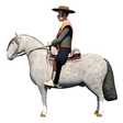 Programikonen: Rodeo Chileno