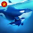 Programikonen: World of Water-Gamota