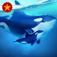 Ícone do programa: World of Water-Gamota