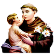 Programikonen: St Antony's Novena