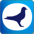 程序图标：TOPigeon Online