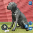 Dog Sim Pet Simulator Dog Life