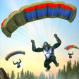 Programikonen: Gorilla G Unknown Shootin…