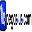 Programikonen: pegas.us.com plug-in