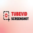 Programikonen: TubeVid Screenshot