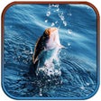 Иконка программы: Real Fishing Pro 3D