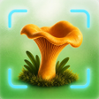 Ikona programu: Mushroom Checker