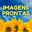 Programikonen: Frases Prontas com Imagen…