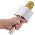 程序图标：Karaoke Mikrofon