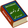 プログラムのアイコン：naat book in urdu