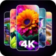 4K Wallpaper HD Backgrounds