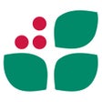 Icon of program: Wintergreen Resort