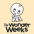 Ícone do programa: The Wonder Weeks - Leaps