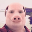 أيقونة البرنامج: John Pork Is Calling...