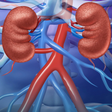 プログラムのアイコン：Renal System