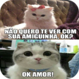 Programikonen: Imagens de gatinhos engra…