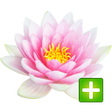 程序图标：Sintelix Extension