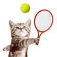 أيقونة البرنامج: Cat Meow Tennis: Sport Ba…