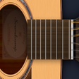 Ícone do programa: Acoustic(12 strings) Guit…