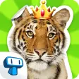 My Zoo Album - Collect And Tra
