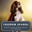 King Charles Spaniel Replacer