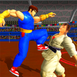 Ikon program: Kung Fu Karate Fighting: …