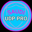 Programikonen: SAUDI UDP PRO