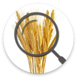 Programın simgesi: Gluten Free Scanner, glut…
