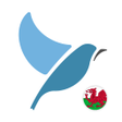 Programın simgesi: Learn Welsh. Speak Welsh.…