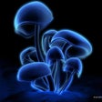 Icon of program: 3D Wallpaper