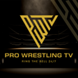 プログラムのアイコン：Pro Wrestling TV
