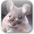 Icoon van programma: CameraMouse
