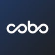 Ikon program: Cobo Vault