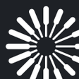 Ikon program: Toloka Annotators