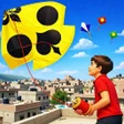 Icon of program: Basant The Kite Fight