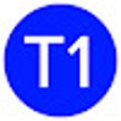 プログラムのアイコン：Thomson One Bridge