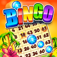 Icon of program: Bingo Story  Free Bingo G…