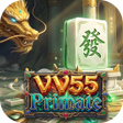 Programikonen: VV55Primate