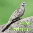 プログラムのアイコン：Kicau Burung Perkutut Off…